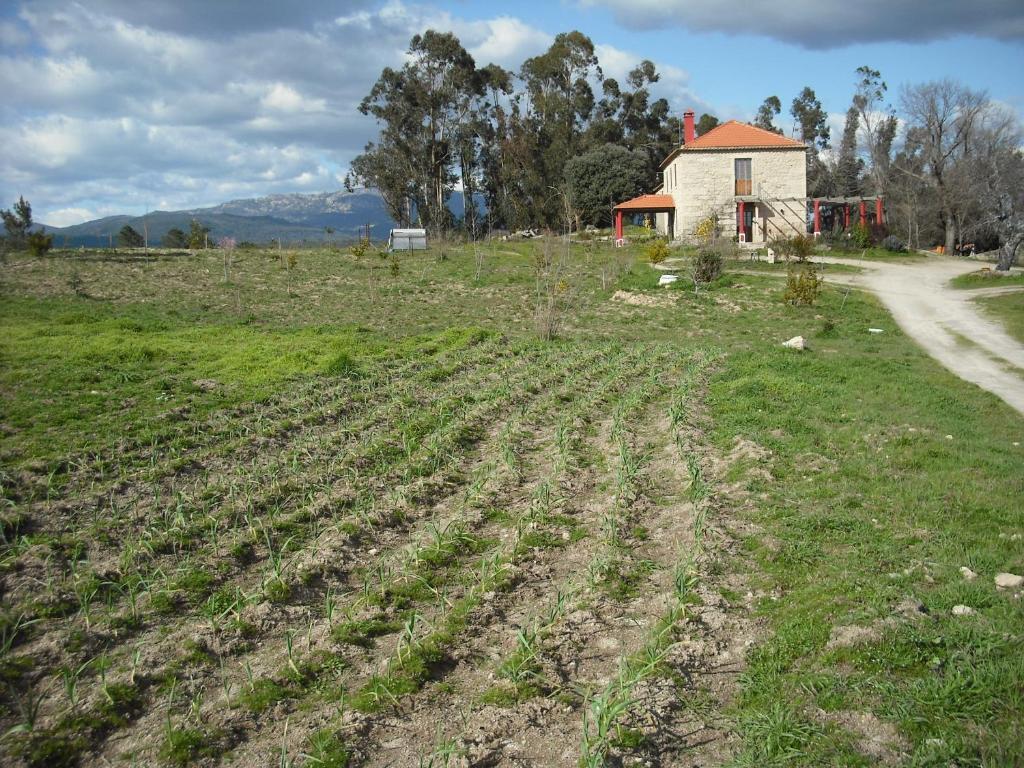 Quinta da Alma Cheia Ninho do Açor Exterior foto