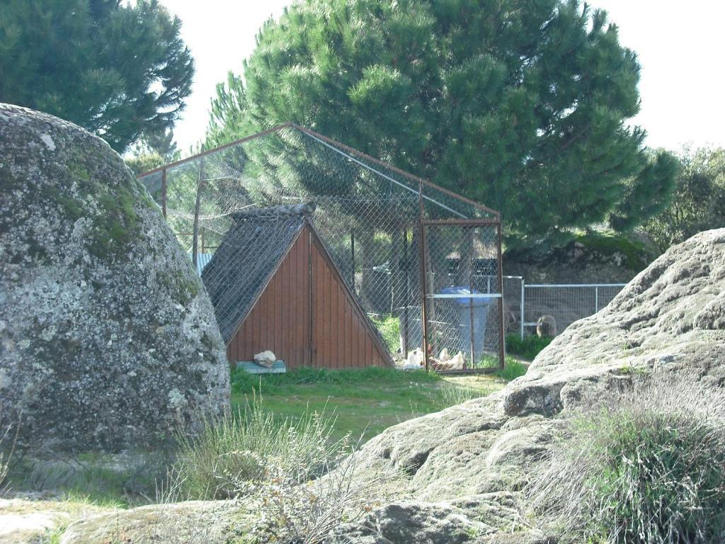 Quinta da Alma Cheia Ninho do Açor Exterior foto