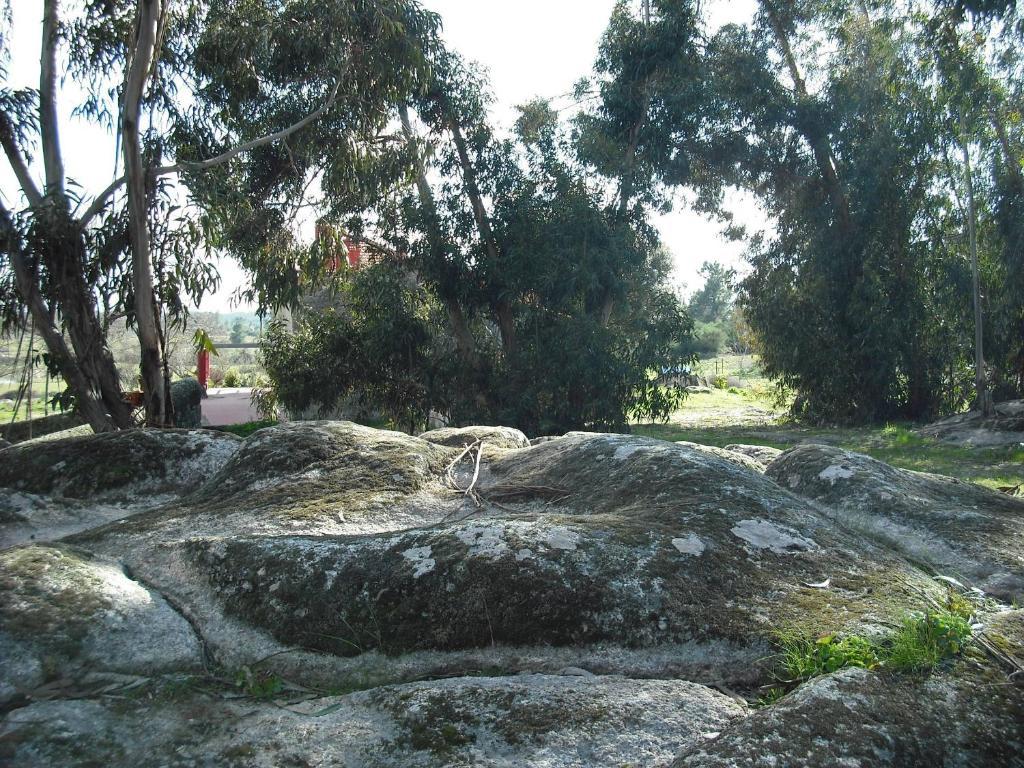 Quinta da Alma Cheia Ninho do Açor Quarto foto