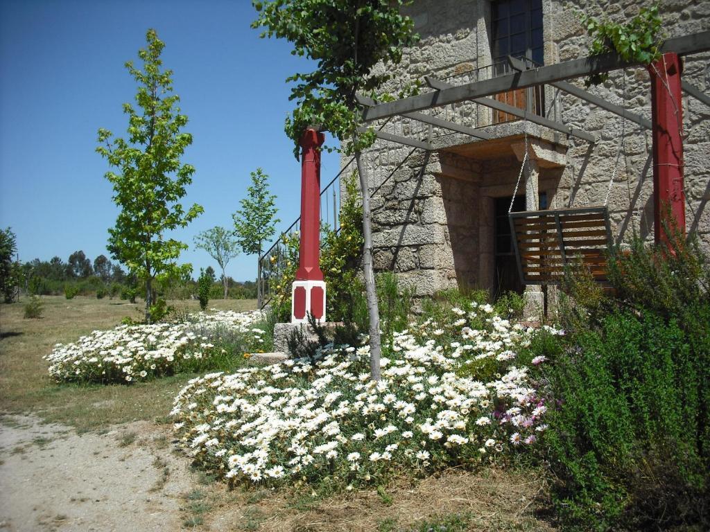Quinta da Alma Cheia Ninho do Açor Exterior foto