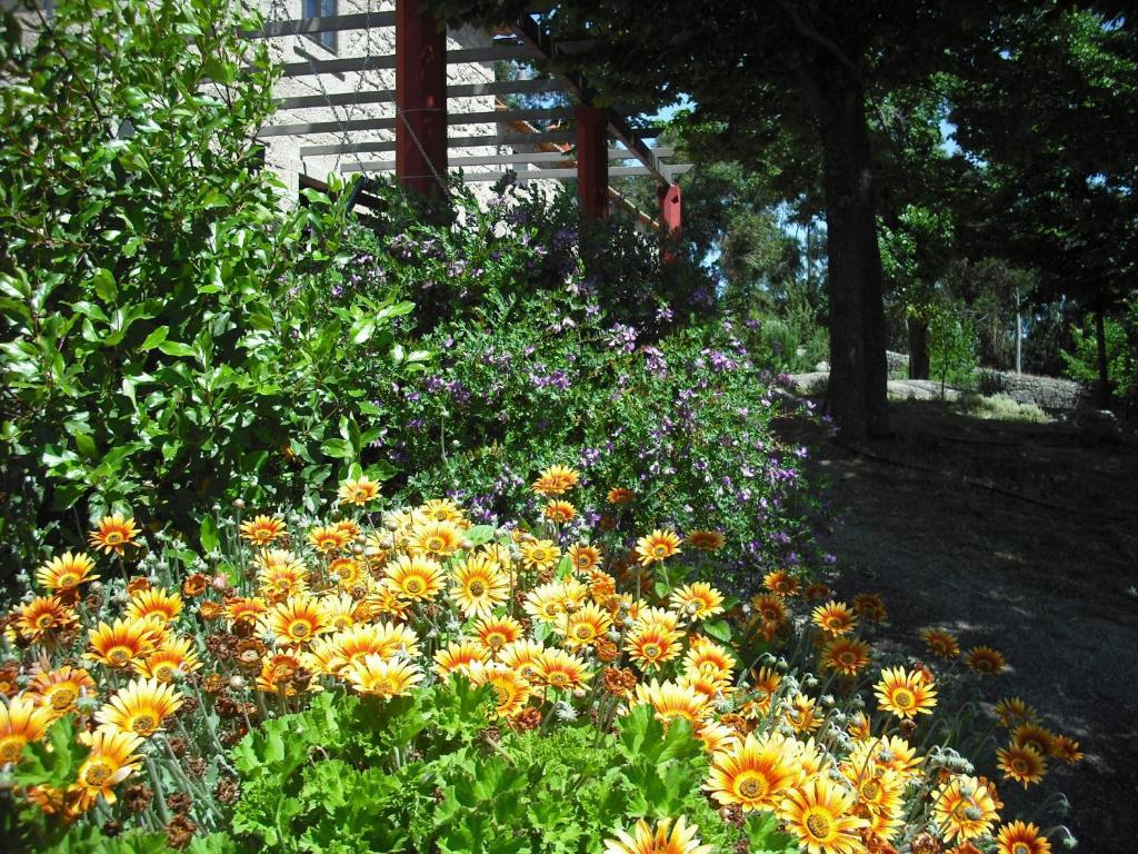 Quinta da Alma Cheia Ninho do Açor Exterior foto